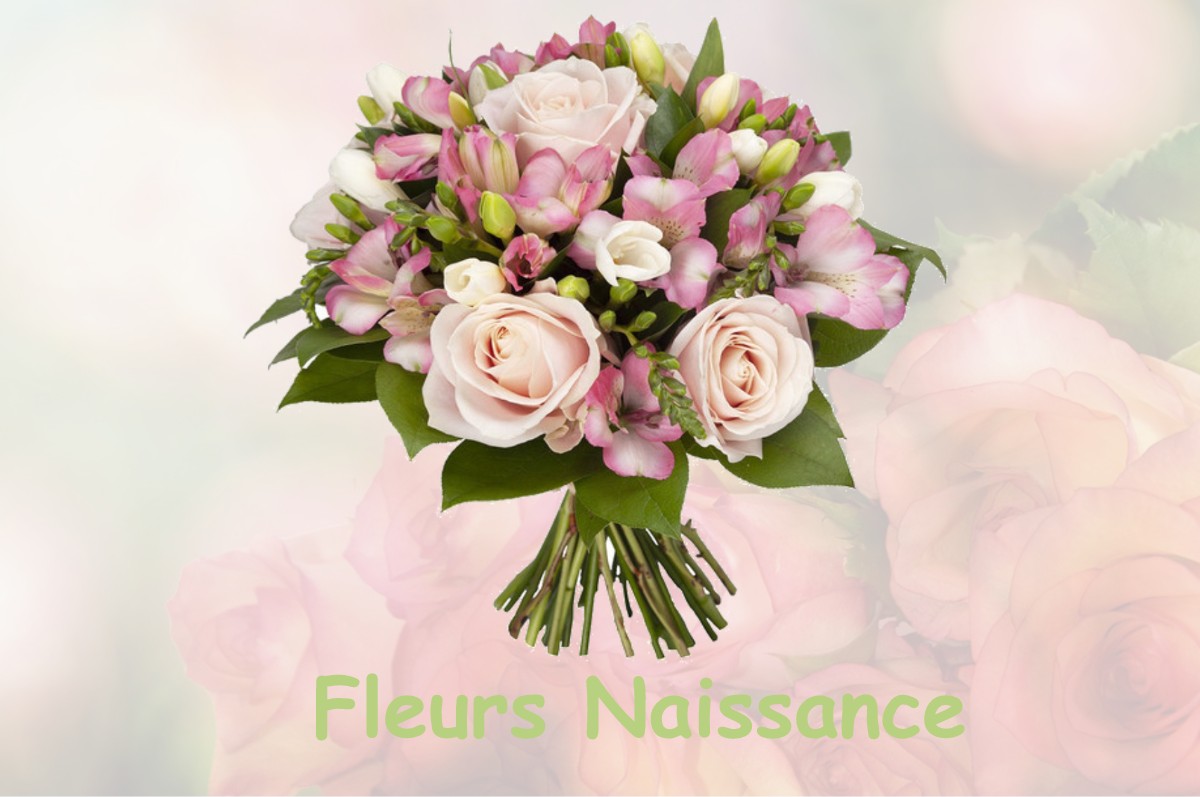 fleurs naissance VAUX-SUR-MER
